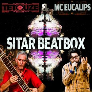 Sitar Beatbox(feat. Mc Eucalips)
