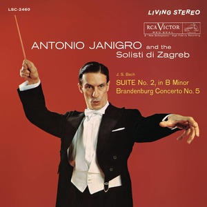 Brandenburg Concerto No. 5 in D Major, BWV 1050 - I. Allegro (D大调第5号勃兰登堡协奏曲，作品1050 - 第一乐章 快板)