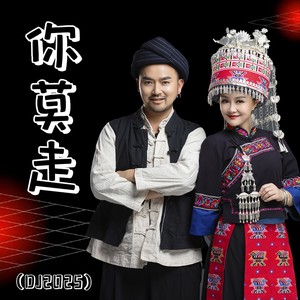 你莫走 (DJ2025)