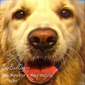 Hi Bro! (Original Mix)