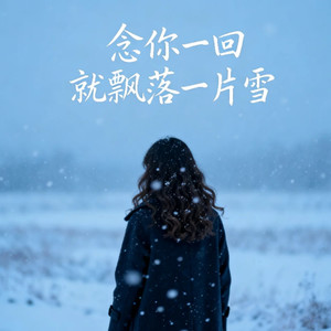 念你一回就飘落一片雪