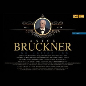 Mass No. 3 in F Minor, WAB 28 - Sanctus