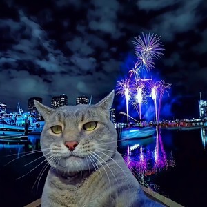 唯有蹦迪解千愁 (DJ版)