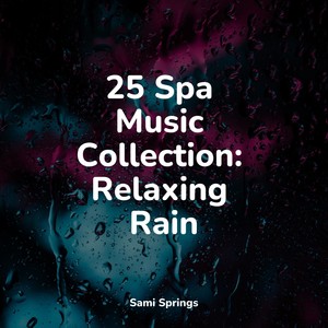 25 Spa Music Collection: Relaxing Rain