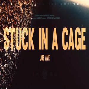 Stuck In A Cage