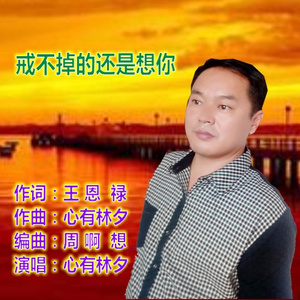 戒不掉的还是想你
