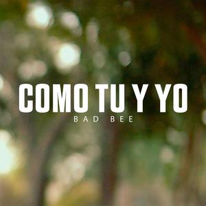 Como tu y yo (feat. Bad Bee) [Explicit]