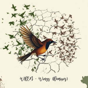 Wings (Thommie G Remix)