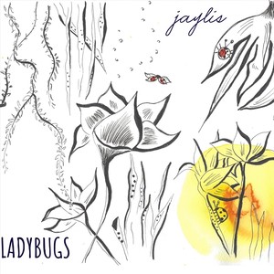 Ladybugs (Explicit)