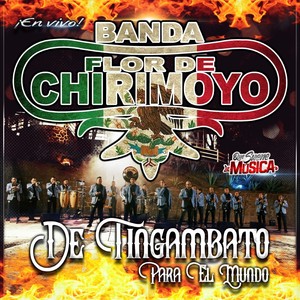 De Tingambato para el Mundo, En Vivo
