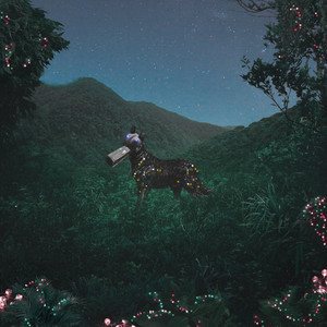 Mineral (Niju & Malü Remix)