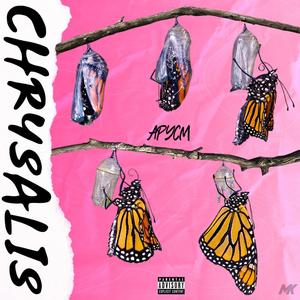 Chrysalis (Explicit)