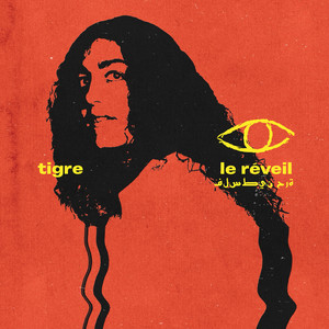 Le réveil (Free Palestine)