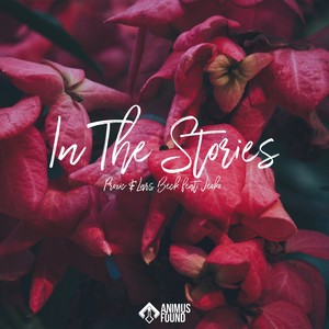 In The Stories (Radio Edit)