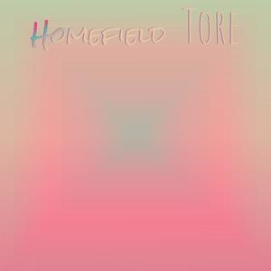 Monumental Hydropower