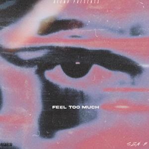OffNV - Feel Too Much(Insomnia) (Explicit)