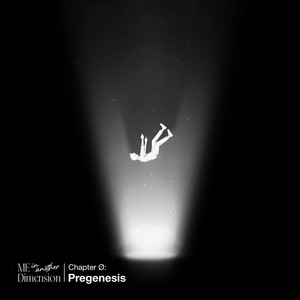 Chapter Ø: Pregenesis