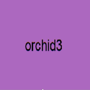 orchid (Explicit)