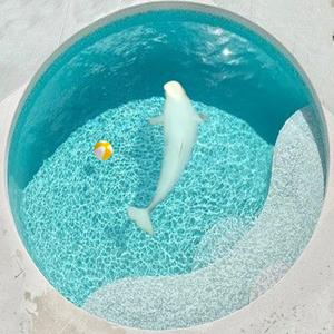 Proverbe du Béluga (feat. SevDee) (Explicit)