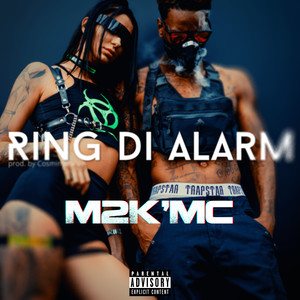 Ring Di Alarm (Explicit)