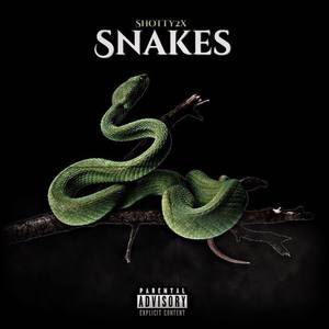 Snakes (Explicit)