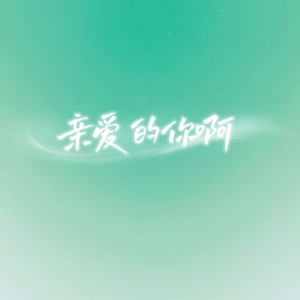 亲爱的你啊-DJ迷人磊