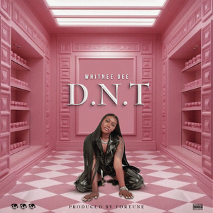 D. N. T (Explicit)