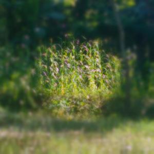 Heat(feat. Saidur Rahman)