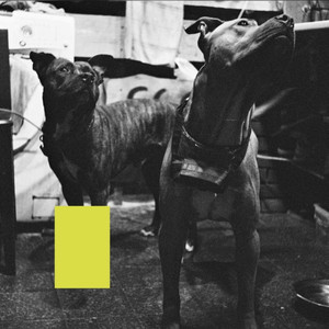 Відверто (Explicit)