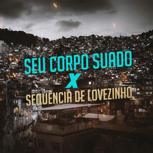 Seu Corpo Suado x Sequência De Lovezinho (Remix) [Explicit]