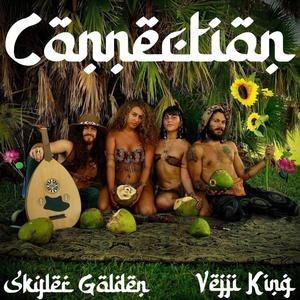 Connection (feat. Skyler Golden) (Explicit)