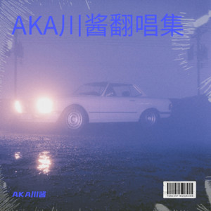 左转灯-AKA川酱