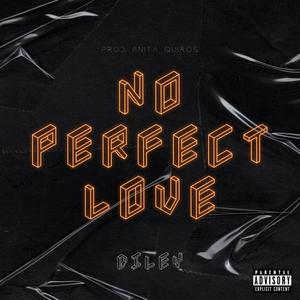 No Perfect Love