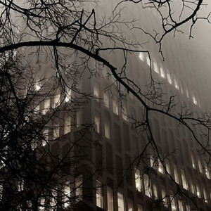 poison tree (slowed instrumental)