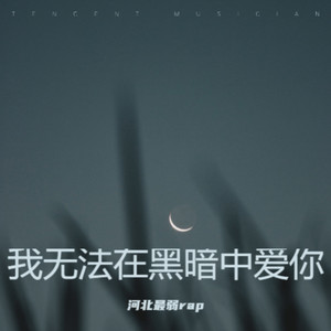 我无法在黑暗中爱你