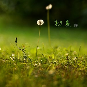 初夏