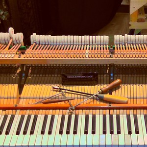 Schumann Kinderszenen, Op. 15 IV. Bittendes Kind