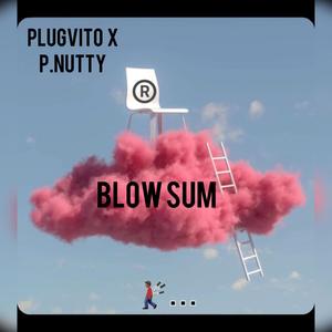 PlugVito x Blow Sum (feat. P.Nutty) [Explicit]