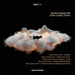 Meditate (ROB-IIN Remix)