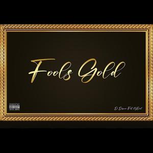 Fools Gold (feat. NyQwil) [Explicit]