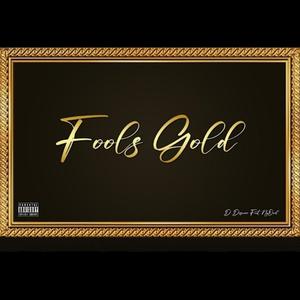 Fools Gold (feat. NyQwil) (Explicit)