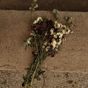 Nota. De Voz (feat. El Greñas Locas)