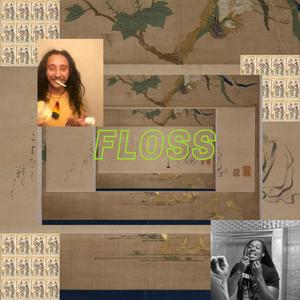 Floss (feat. Maleke Clemmons)