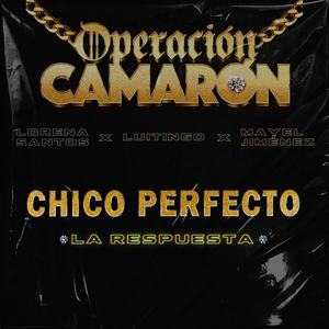 Chico Perfecto (La Respuesta)