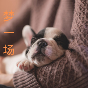 梦一场-王雅菲