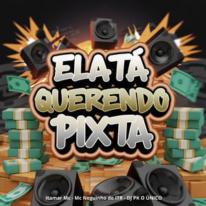Ela Tá Querendo Pix Ta (Explicit)