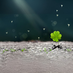 幻化成风 (口琴版)