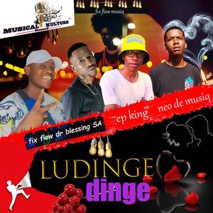 Ludinge dinge (feat. Fix Flow Neo De MusiQ Ep King)