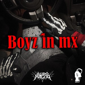 Boyz In MX (Explicit)