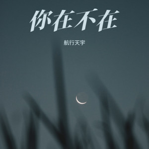 你在，不在